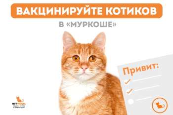 Ежегодная вакцинация ваших питомцев в "Муркоше"
