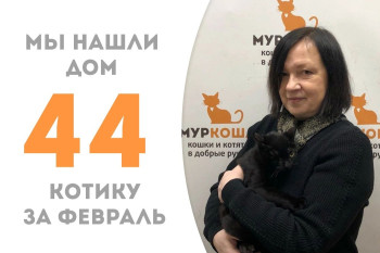 Котик Великолепный Макс стал частью прекрасной семьи!