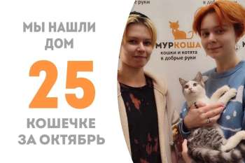 Три месяца понадобилось Веритас, чтобы стать домашней!