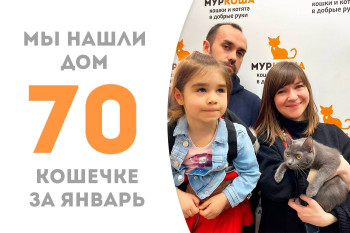 Десятимесячная харизматичная красотка Виченца отправилась домой!