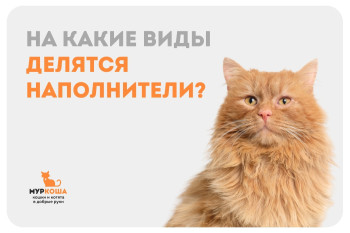 Что нужно знать при выборе наполнителя для кошачьего лотка