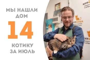 Котик Викентий обрёл своё счастье ровно за два месяца!