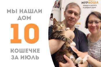 Вильда обрела семью!