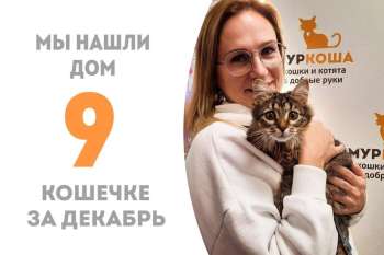 Пробыв менее 3 месяцев в приюте Виорика становится домашней!