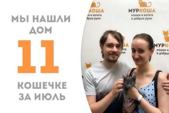 Малышка Виртус стала домашней всего за неделю!