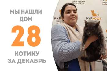 Визимир обрел дом чуть больше, чем за один месяц!