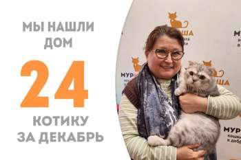 Волшебник стал домашним!