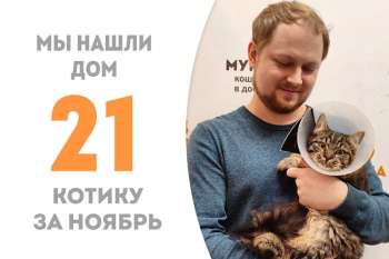 Немногим меньше трех месяцев прошло, а Воробушек встретил своего человека!