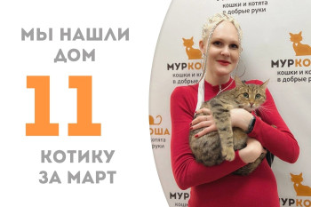 Годовалый Яромир обрел дом!