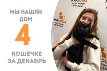 Меньше двух месяцев потребовалось Ясе, чтобы обрести дом!