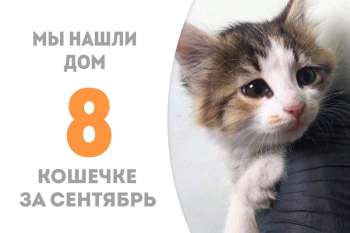 Югра стала домашней всего за шесть дней, это рекордный срок!