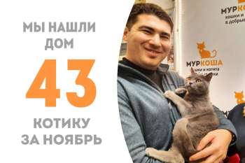 Чуть больше трех месяцев потребовалось Юрасику, чтобы встретить свою семью!