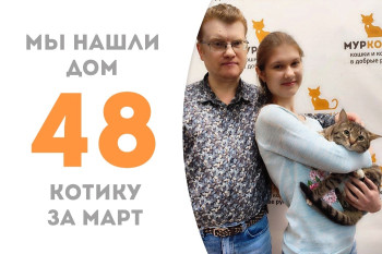 Чуть больше двух месяцев понадобилось котику Юсси, чтобы найти семью и стать домашним!