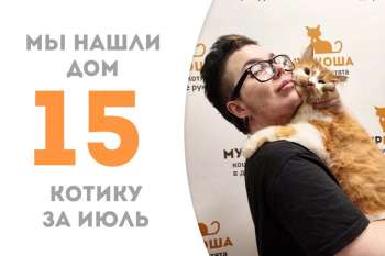 Жильбер встретил своего человека и обрел дом, да не простой, а с нашей выпускницей Матильдой!