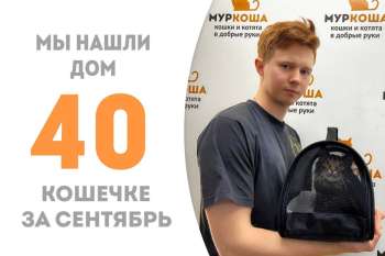 Чуть больше двух месяцев понадобилось малышке Зите, чтобы обрести дом!