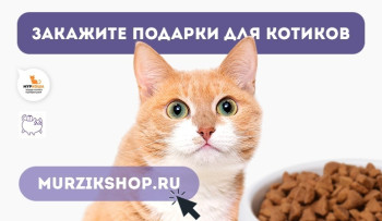 Программа "Помощь приютам" в интернет-зоомагазине "Мурзик"