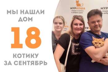 Абордаж отправляется в домашнее путешествие!