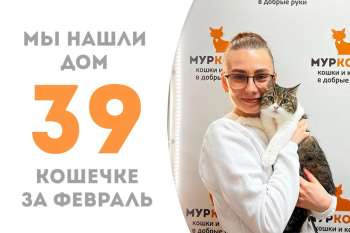 Адалинда покинула наш в приют в руках новой хозяйки!