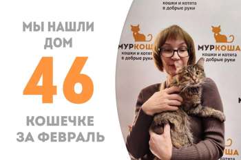 Аграфена снова становится домашней!