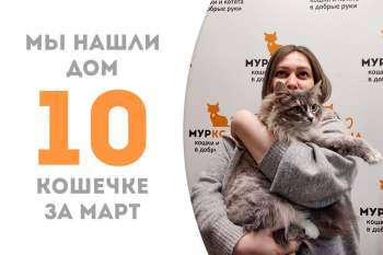 Следующей счастливицей в этот праздничный день становится Аквилегия!