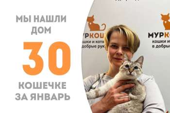 Алфея становится домашней!