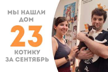 Попрощались с Альваро, отправив его домой!
