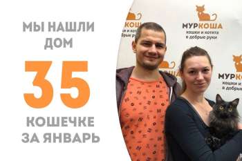 Чудесная Амбра встретила свою семью через два с половиной месяца жизни в приюте!