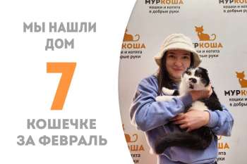 Около полутора месяцев понадобилось Амурке, чтобы влюбить в себя свою хозяйку!
