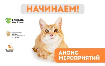 "Муркоша – делимся опытом и учимся вместе с вами!" Объявляем проект открытым!