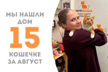 Апельсинка обрела семью, где её ждёт наша выпускница Эльма!