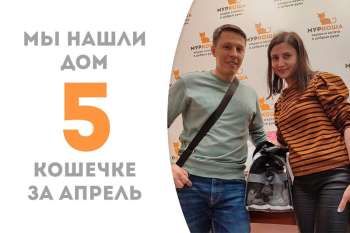 Аперолька покинула наш приют, пробыв в нём менее 3-х месяцев!
