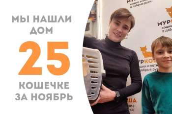 Чудесная Арика становится домашней!