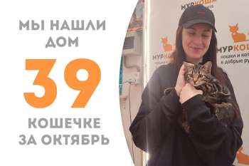 Аяна провела с нами менее трёх месяцев и повстречала свою хозяйку!