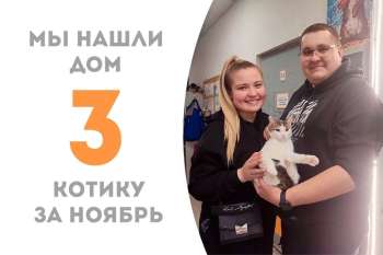 Айфоша нашел добрые ручки!