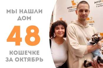Айгюль спешит домой!