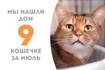 Айшвария встретила свою семью!