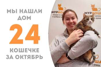 Великолепная Бакэнэко прощается с приютом, потому что она становится домашней любимицей!