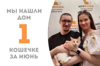 Ровно три месяца понадобилось Барабашке, чтобы найти семью!