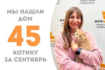 Очаровательный Барбадос уезжает домой в добрых объятиях хозяйки, пробыв у нас менее трёх месяцев!