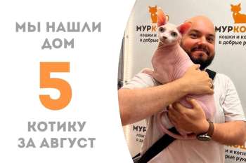 Спустя месяц Барток отправился домой!