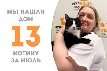 Барвинок встретил свою добрую хозяйку!