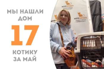Белоус уезжает домой!