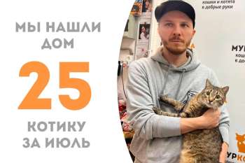 Очаровательный Беркли отправляется домой!