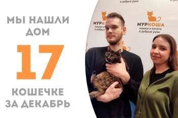 Билимби вытянула счастливый билетик!