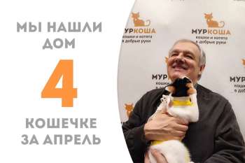 Мы провожаем Бобрушу домой!