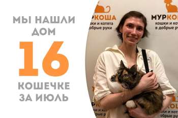 Черепашка Бонни покидает наш приют спустя 2 недели пребывания в нём!