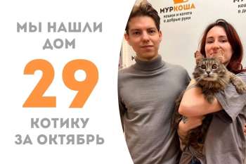 Боярышник прощается с приютом!