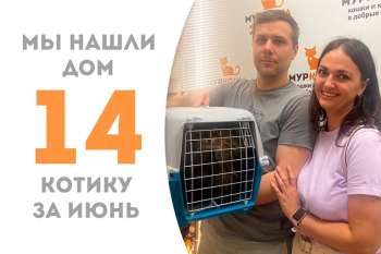 Братишка обрёл дом!