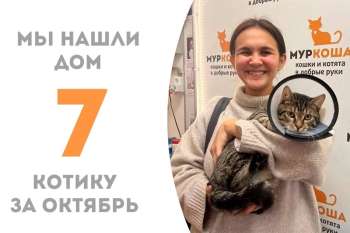 У Бруклина появилась хозяйка!