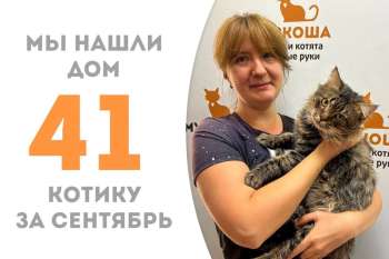 Булат пробыл у нас менее трёх месяцев и отправился домой в объятиях своего куратора!